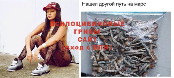 гашик Алзамай