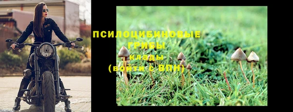 стафф Абинск