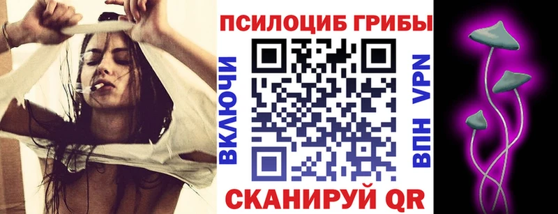 Галлюциногенные грибы Psilocybine cubensis  даркнет сайт  Донской 